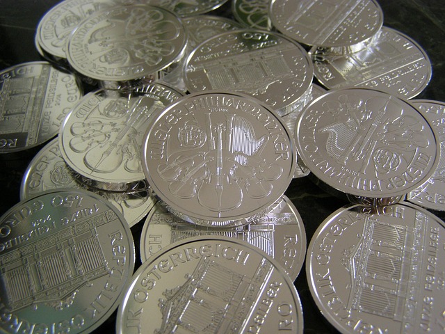 Chasing Dividends: The Power of Passive Income Through Investing